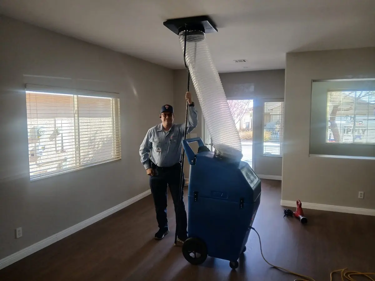 Professional Dryer Vent Cleaning work inside a Orangetree home